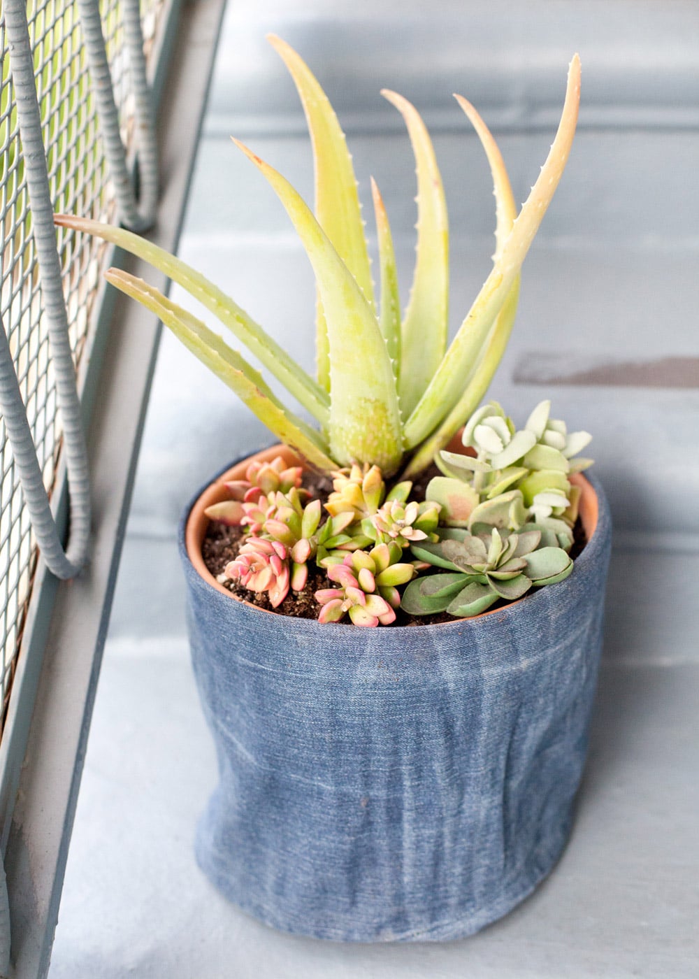 Change-your-jeans-into-a-flower-pot