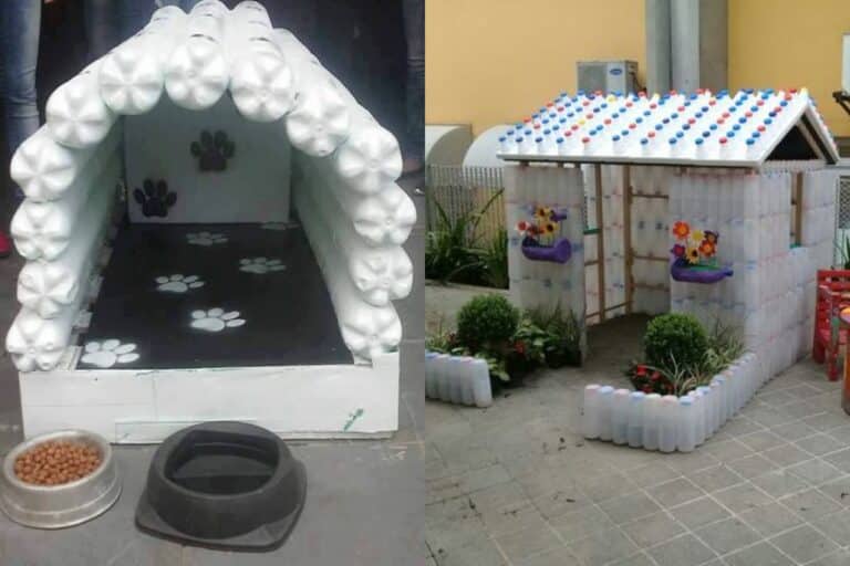 Casas Para Perros Con Botellas De Plástico Ecológicas