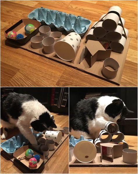 como hacer juguetes para gatos 2