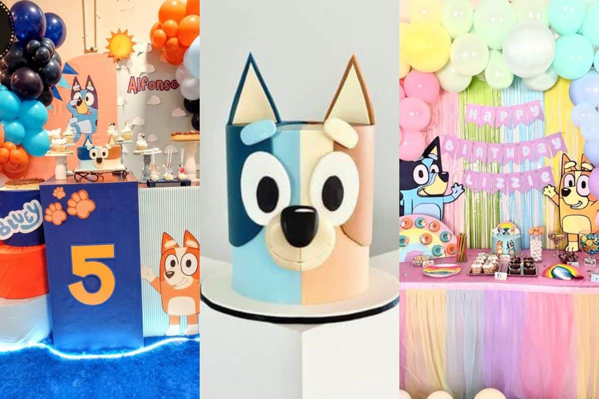 decoracion de bluey y bingo 10