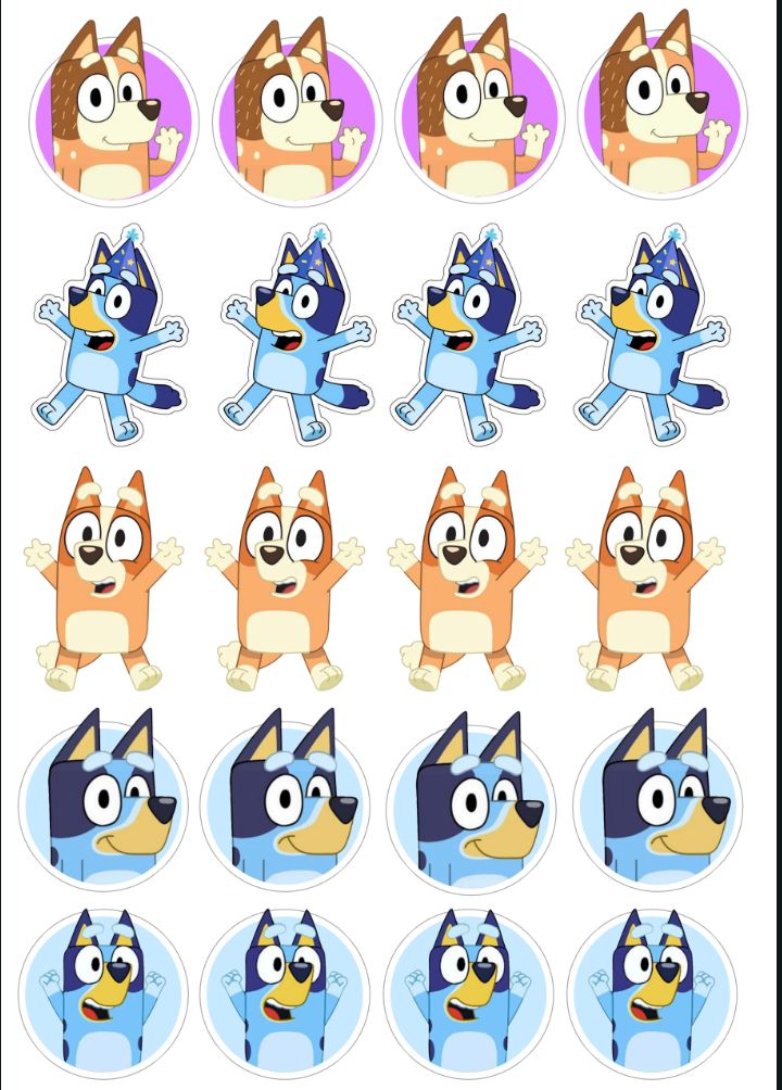 decoracion de bluey y bingo 5