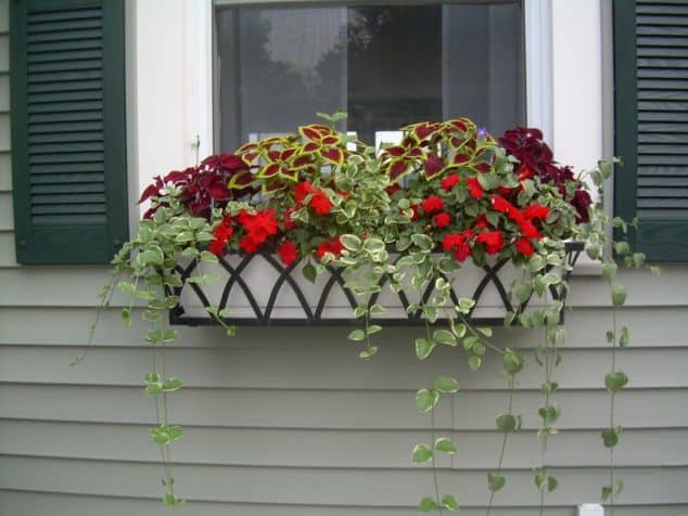 decorar ventanas casa con cajas flores 15