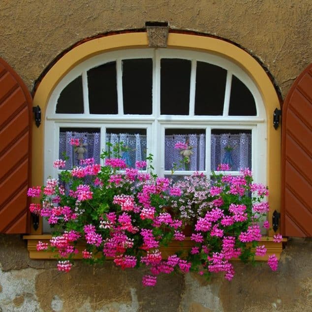 decorar ventanas casa con cajas flores 4