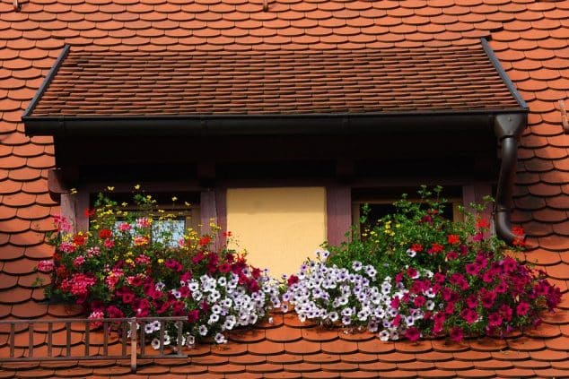 decorar ventanas casa con cajas flores 5