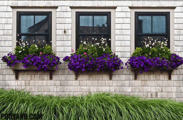 decorar ventanas casa con cajas flores 7