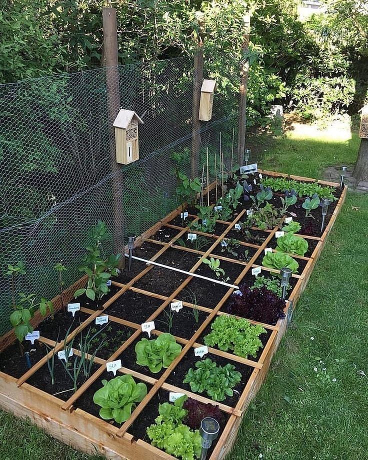 hermosas ideas para hacer tu huerta en el jardin 4
