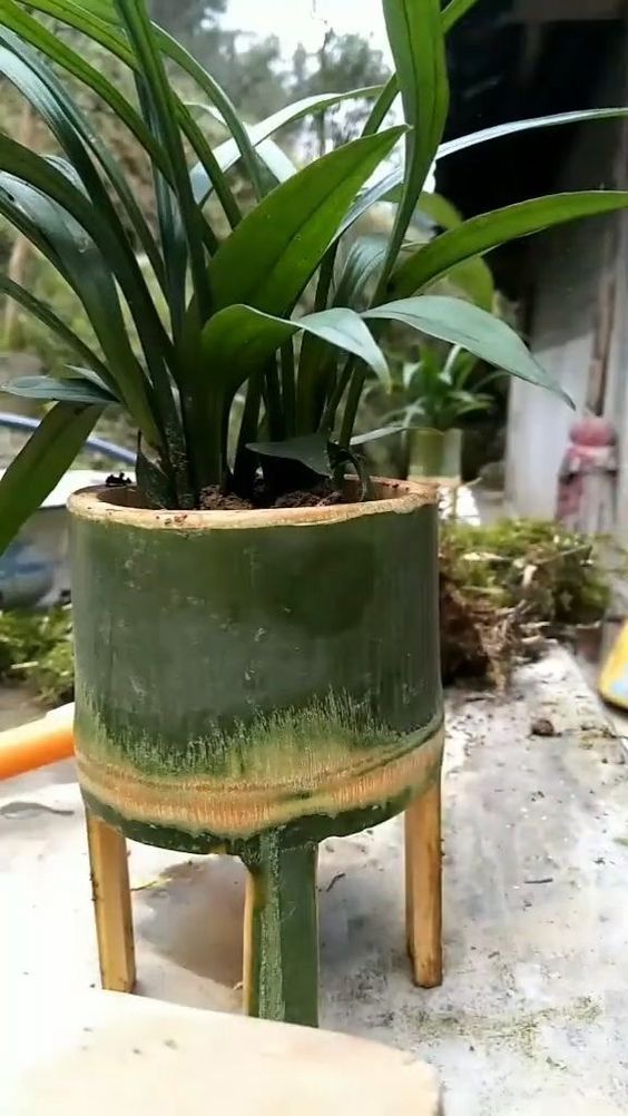ideas con bambu para decorar tu hogar soportes plantas 2 1