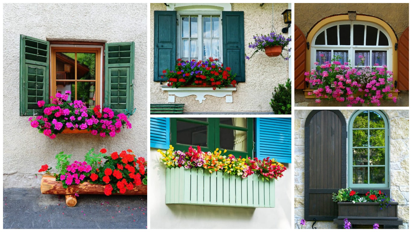 ideas decorar ventanas casa con cajas flores