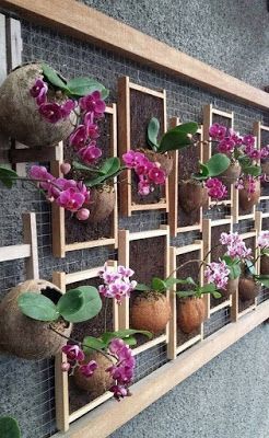 ideas para colgar plantas en el balcon ideas 4