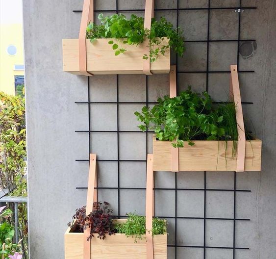 ideas para colgar plantas en el balcon ideas