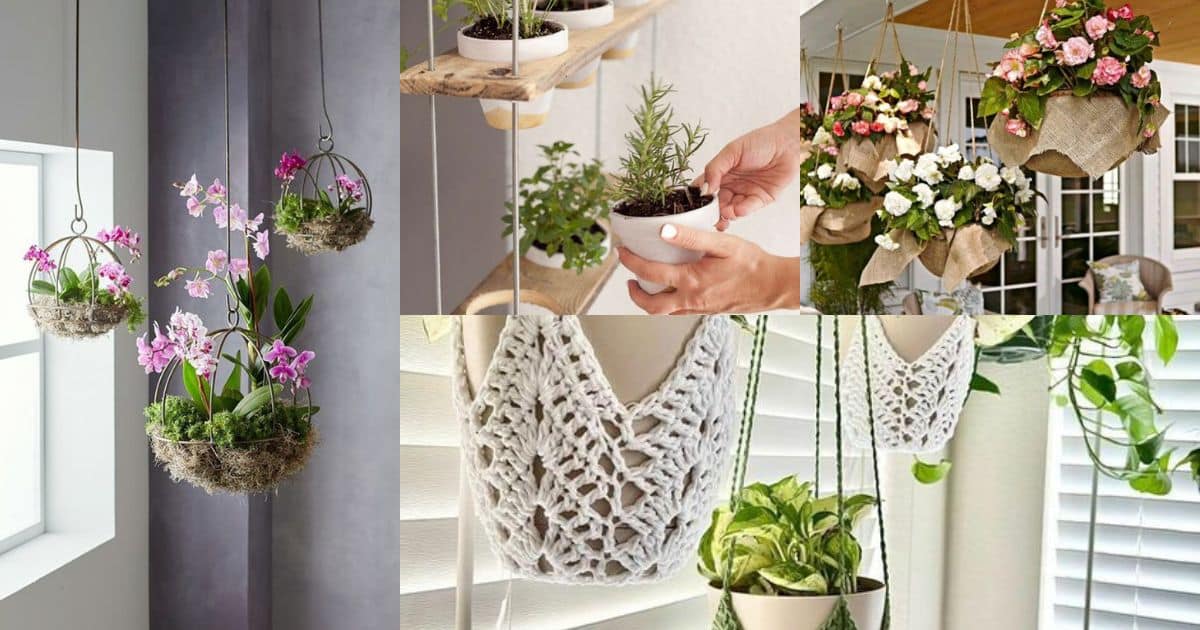 ideas para colgar plantas en el balcon