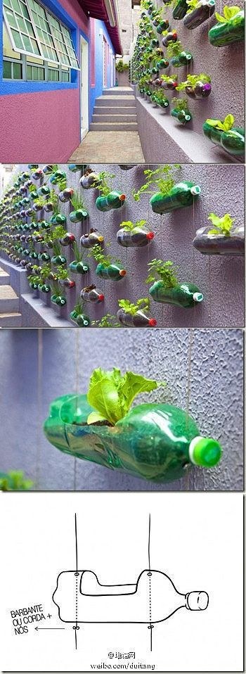 jardin vertical con botella pet