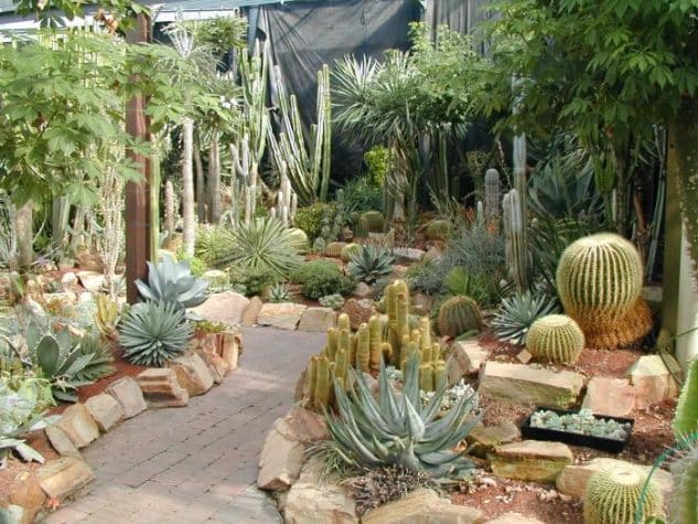 jardines-cactus-11