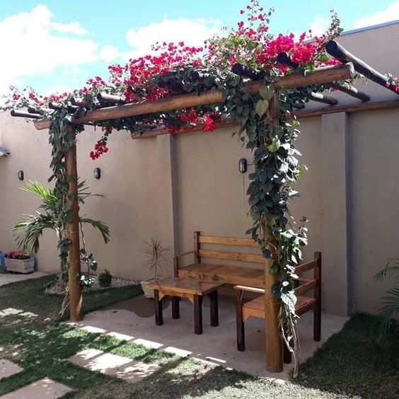 plantas para pergolas 2