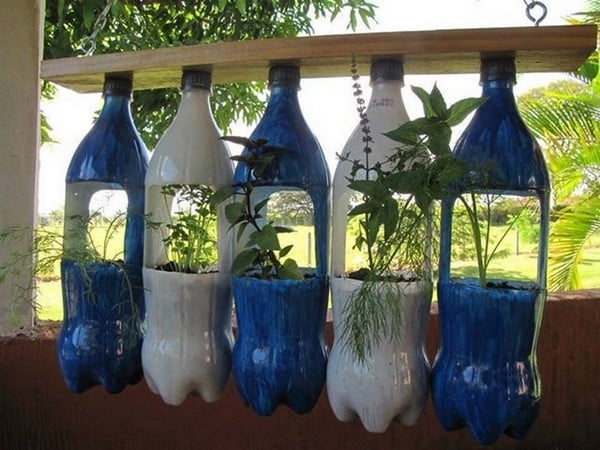 reciclar botellas en el jardin 1