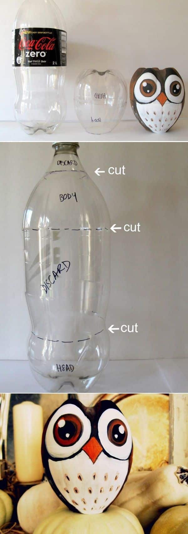 reciclar-botellas-plastico-16