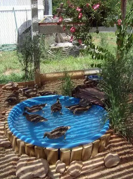 reutilizar piscinas para ninos 9