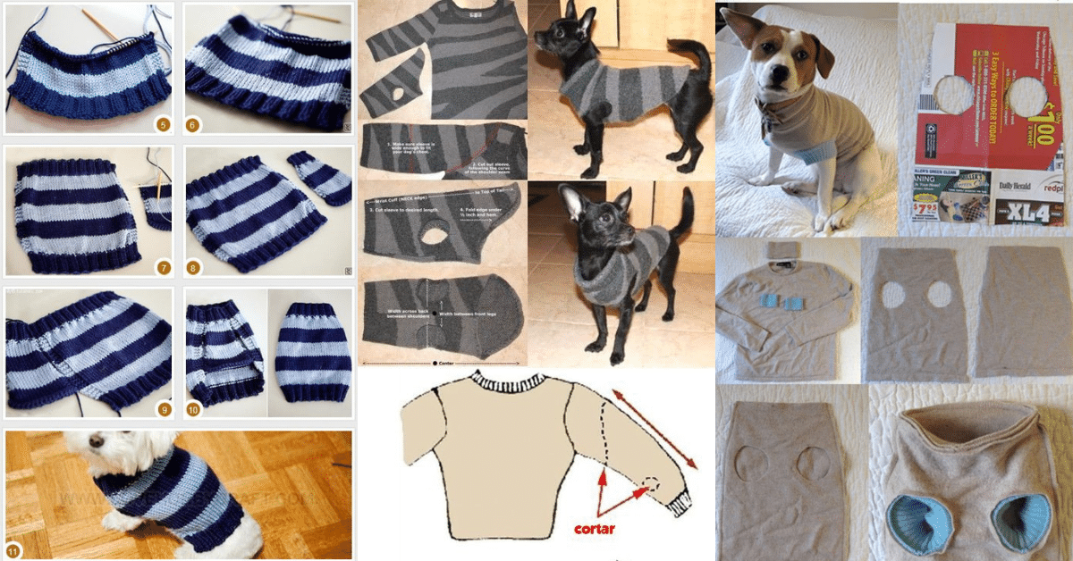 tutorial de ropa para perros